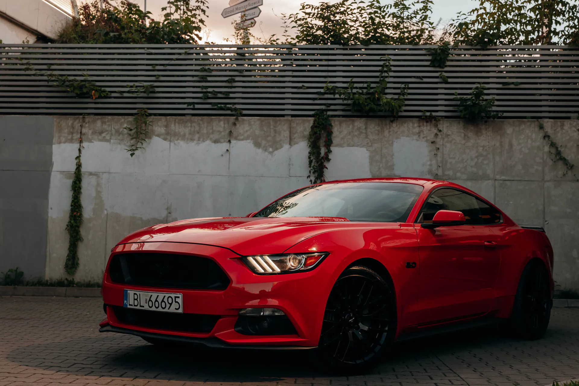 mustang gt - Motoryzacja